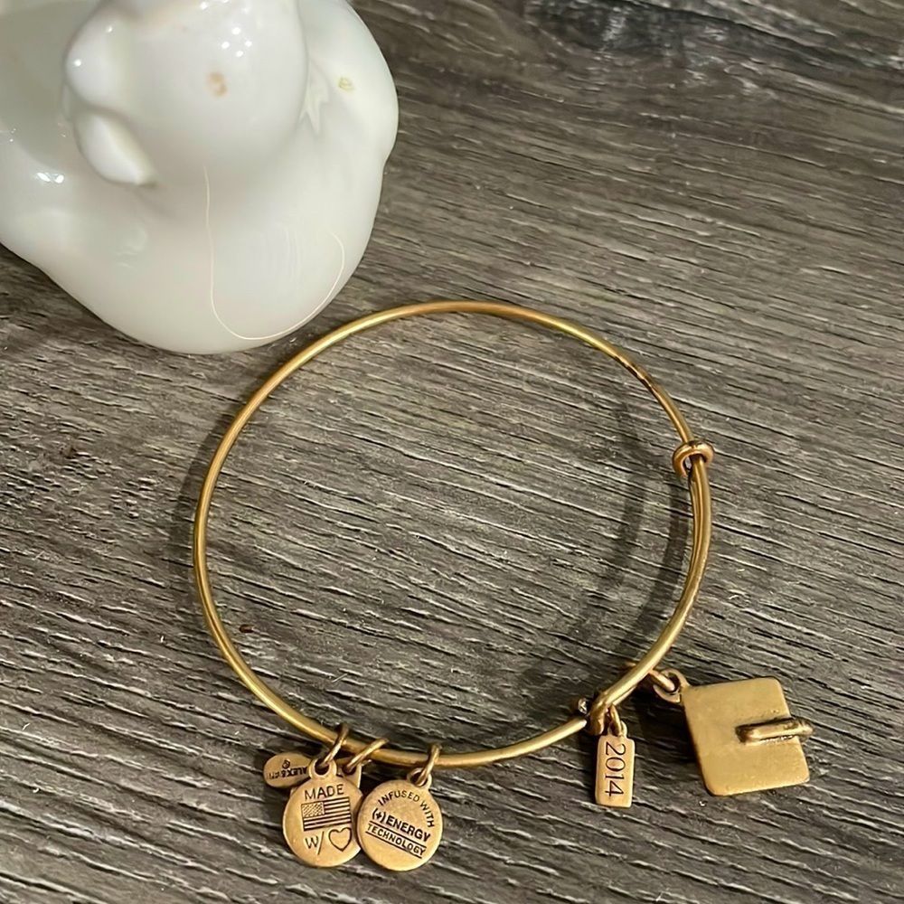 Alex and Ani ‘14 Graduation Cap